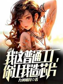 我这普通工厂,你让我造芯片