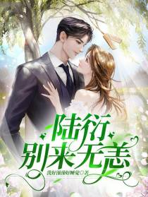 陆衍，别来无恙