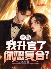 官婿，我升官了你想复合？