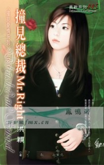 撞见总裁Mr.　Right