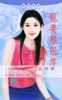 宠妻无限度