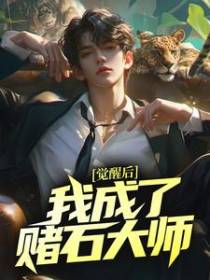 觉醒后，我成了赌石大师