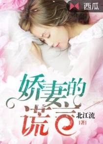 娇妻的谎言