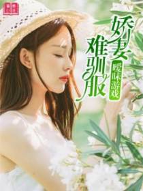 征服游戏：娇妻难驯服