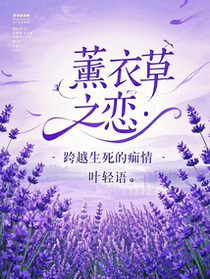 薰衣草之恋：跨越生死的痴情