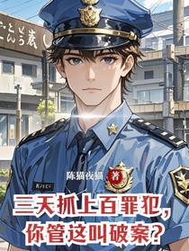 三天抓上百罪犯，你管这叫破案？