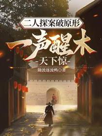二人探案破原形，一声醒木天下惊