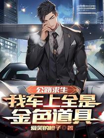 公路求生，我车上全是金色道具