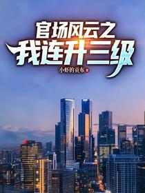 官场风云之我连升三级