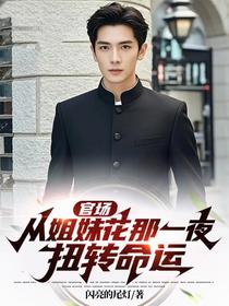 官场，从姐妹花那一夜，扭转命运