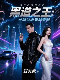 黑道之王：开局征服极品美妇