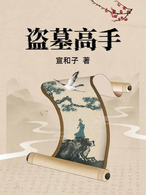 盗墓高手